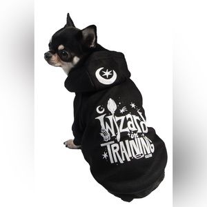 Killstar | wizard in training pet hoodie